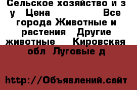 Сельское хозяйство и з/у › Цена ­ 2 500 000 - Все города Животные и растения » Другие животные   . Кировская обл.,Луговые д.